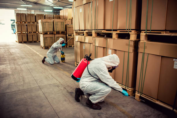 Best Pest Prevention Services  in Copperopolis, CA