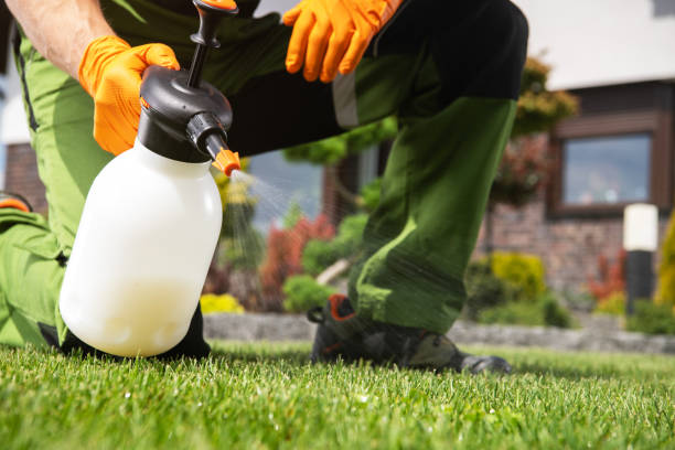 Best Wasp Removal Services  in Copperopolis, CA
