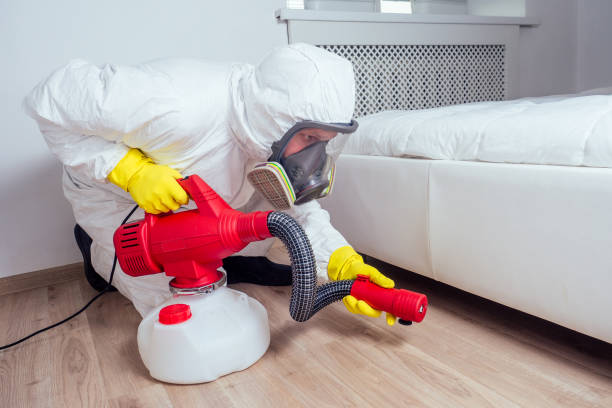 Best Termite Control Services  in Copperopolis, CA