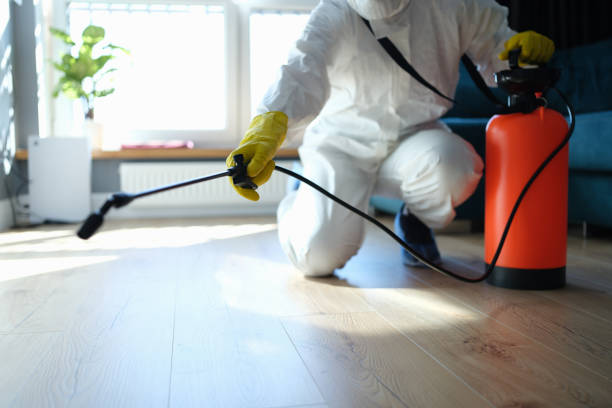 Best Flea Control Services  in Copperopolis, CA