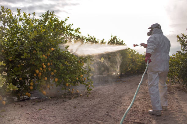 Best Best Pest Control Companies  in Copperopolis, CA