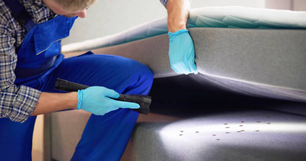 Best Bed Bug Extermination  in Copperopolis, CA