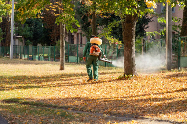 Best Mosquito Control Services  in Copperopolis, CA