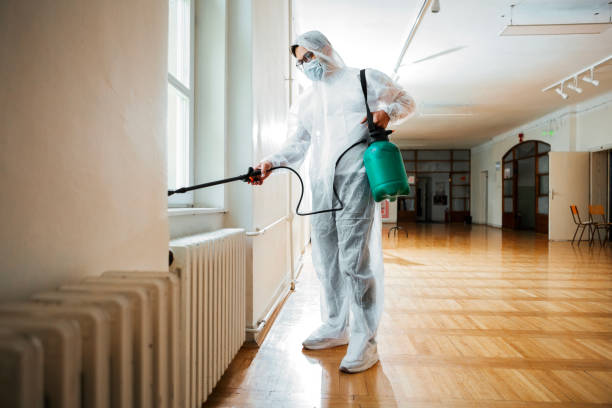 Professional Pest Control in Copperopolis, CA