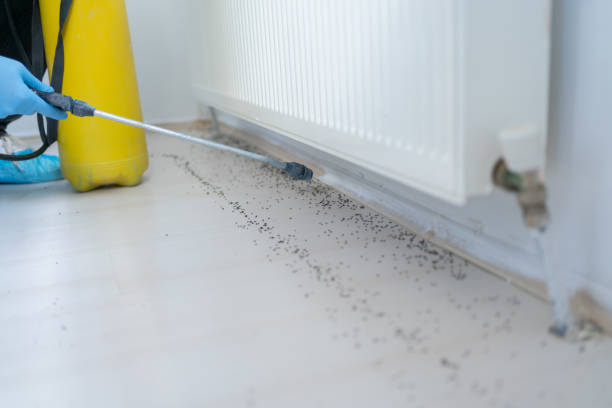 Best Wildlife Control Services  in Copperopolis, CA