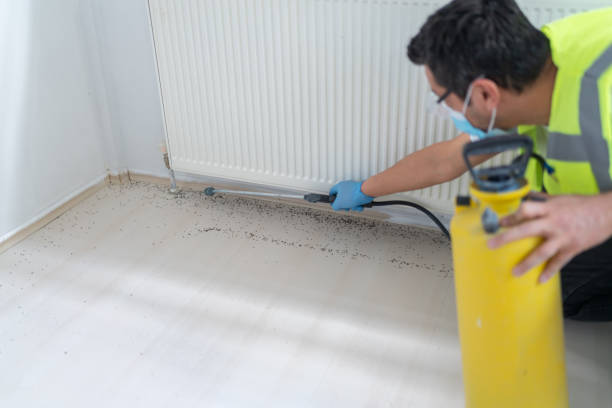Best Wildlife Control Services  in Copperopolis, CA