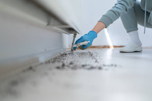 Wildlife Control Services in Copperopolis, CA
